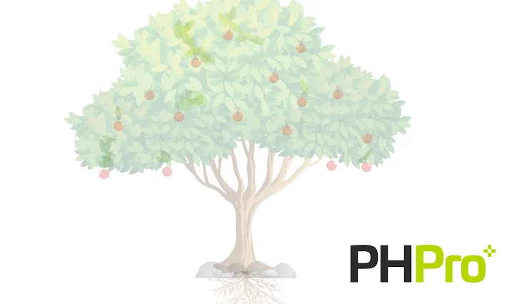 1273-1- Boom overzicht 1273-1- Boom overzicht