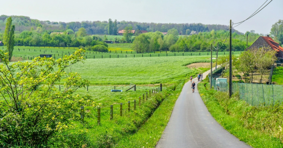 Wandelsport