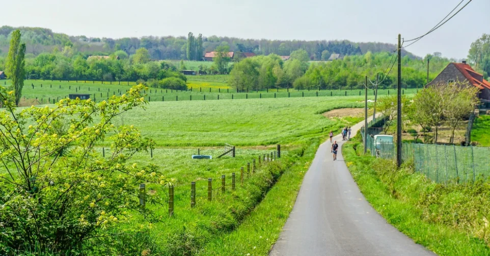 Wandelsport