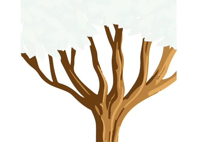 1279-6. Boom - takken