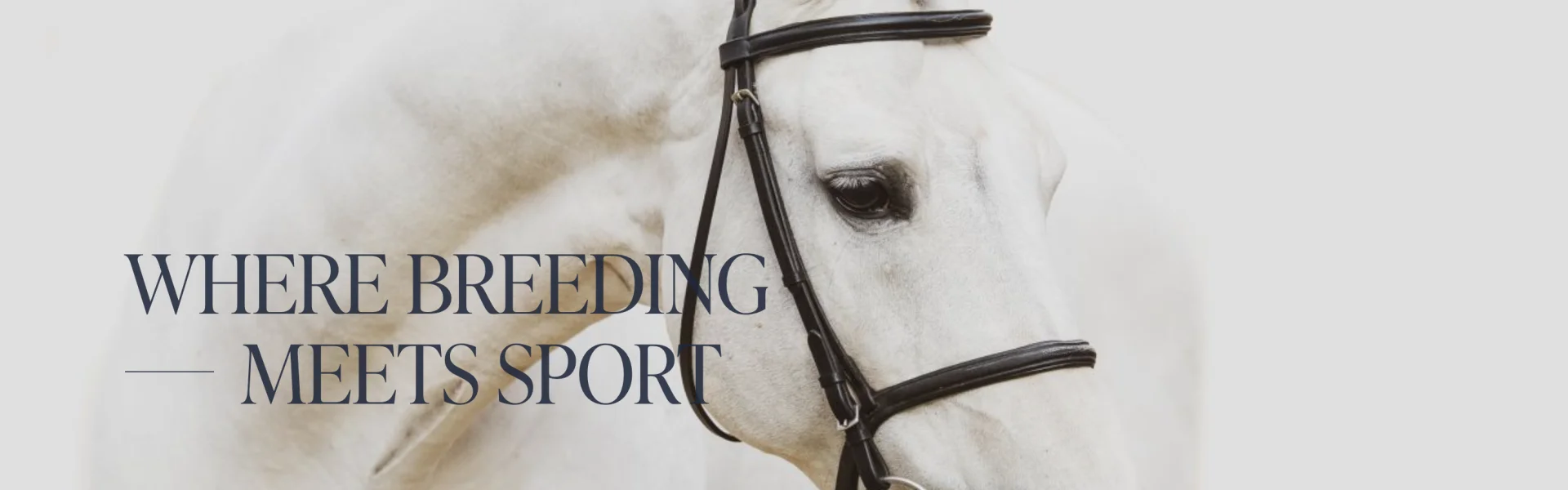 1500-Scherm&shy;afbeelding 2024-03-26 om 10.00.57