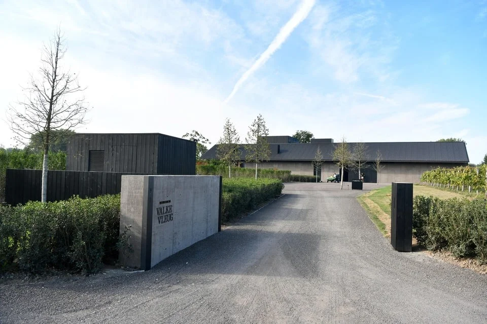 Vinetiq - Valke Vleug